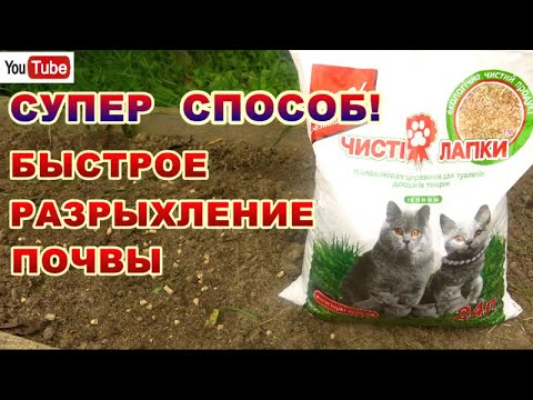 КОШАЧИЙ ДРЕВЕСНЫЙ НАПОЛНИТЕЛЬ-ОТЛИЧНЫЙ РАЗРЫХЛЕНИЕ ДЛЯ ГРЯДОК.НА ТАКОЙ ГРЯДКЕ РАСТЕНИЯ РАСТУТ КАК ..