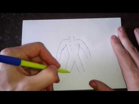 Как поэтапно нарисовать ТЕЛО для начинающих и детей? How to DRAW a BODY