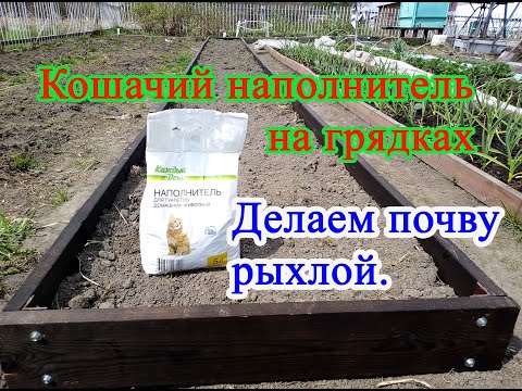 Кошачий наполнитель на грядках.  Делаем почву рыхлой