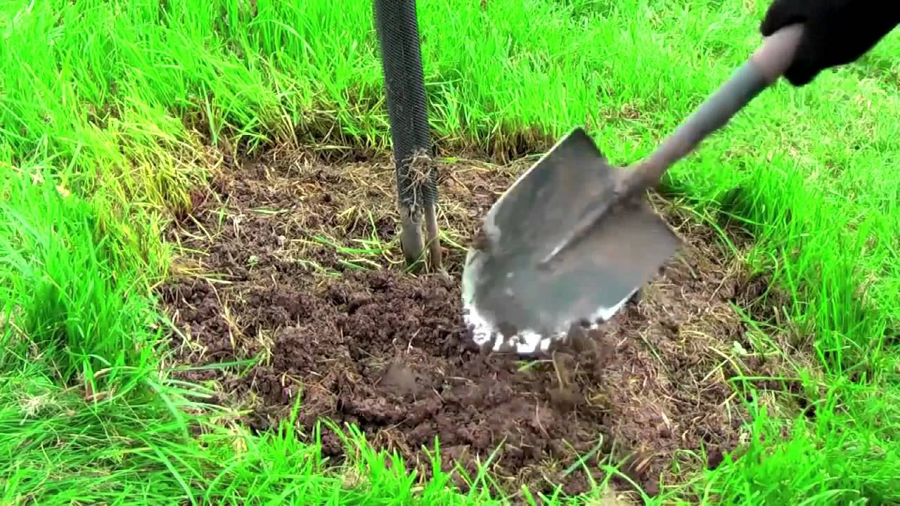Надо ли перекапывать землю