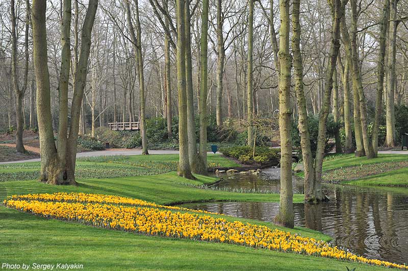 Keukenhof 073.JPG