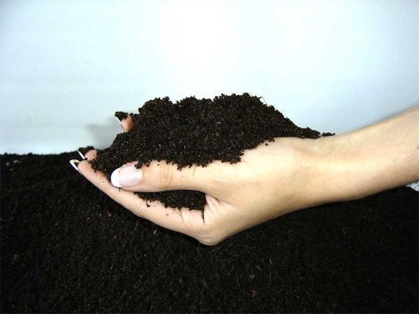 Плодородная почва - фото с сайта greenrest.ru