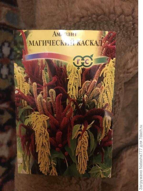 Магический каскад
