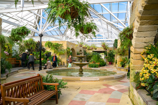 Консерватория в Тасманском королевском ботаническом саду. Автор mastapiece / Shutterstock, Inc.