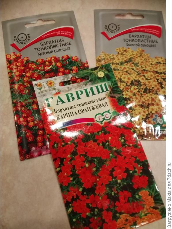 Новые сорта