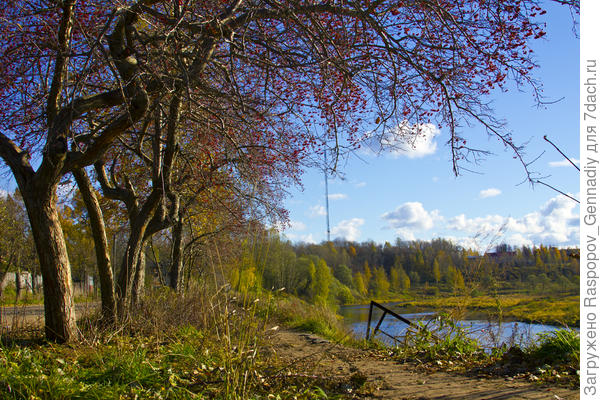 алея в городе