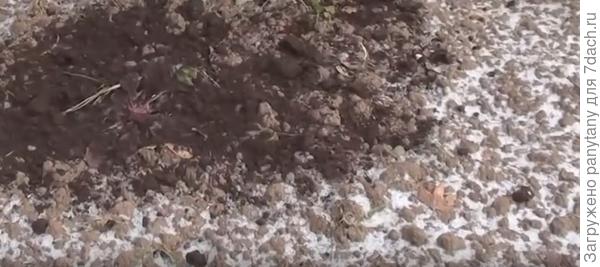 покупной сверху замерзшей земли