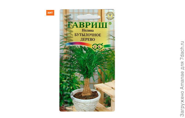 Бутылочное дерево