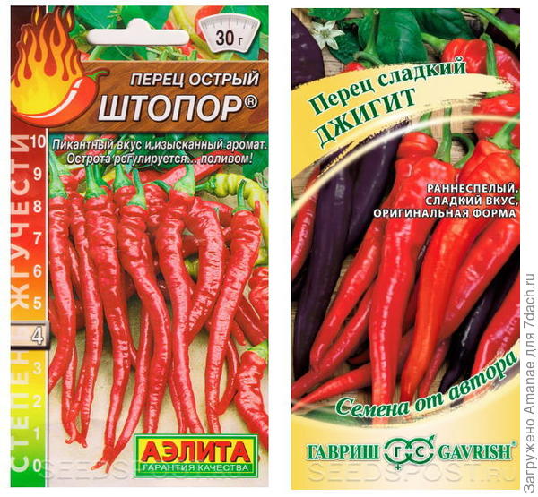 Темная ночь