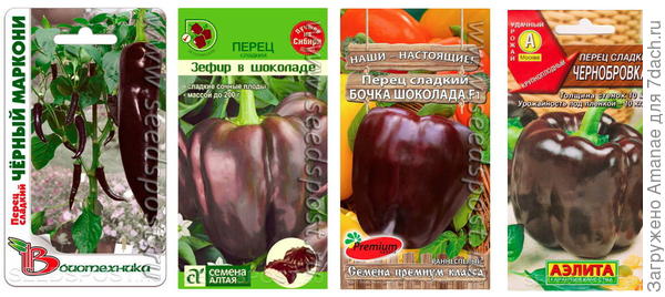 Шоколадный хоровод