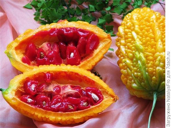 Фото из Интернета. Не додумалась сделать в разрезе свои