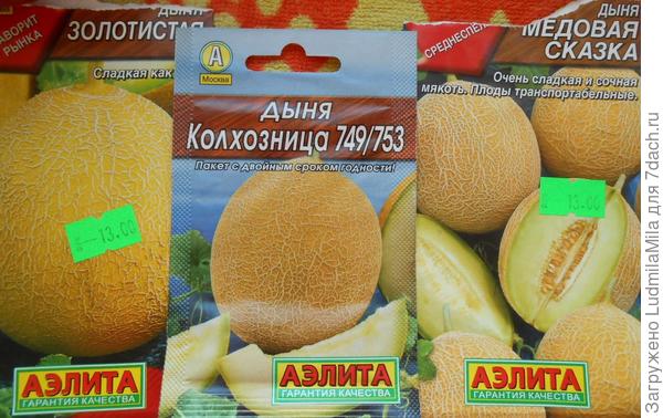 Дыни проверенные и опробованные