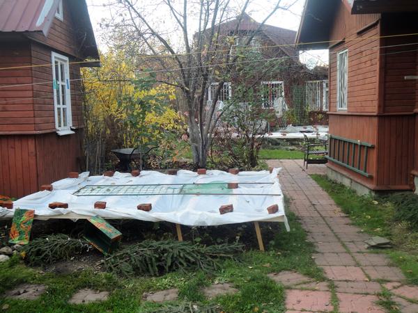 Временное укрытие от осенних дождей. Фото автора