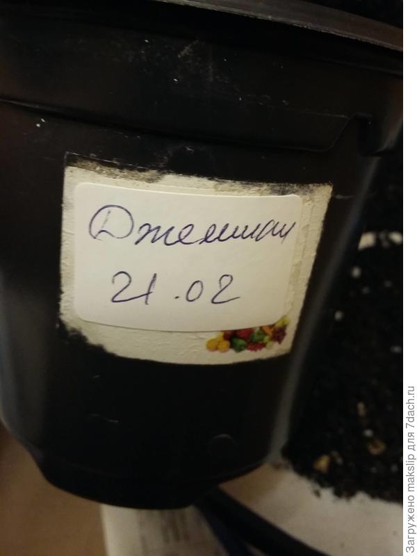 Горшок