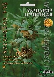 Монарда Панорама