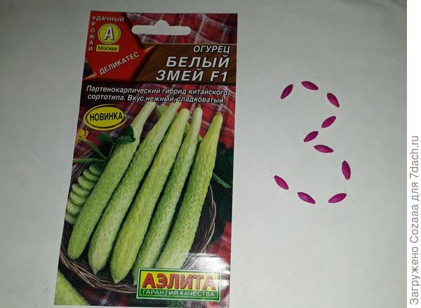 Семена огурцов "Белый змей"