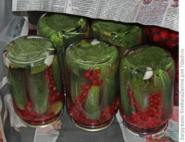 Закутываем