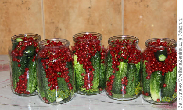 Закладываем в банки