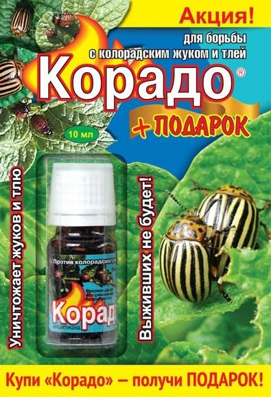 Корадо - эффективный препарат для борьбы с колорадским жуком и тлей