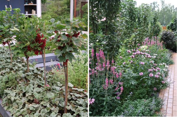 Огород и плодовый сад можно оформить нетрадиционным способом и сэкономить тем самым место
