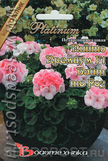 Бело-розовое чудо