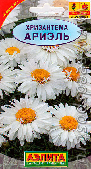 https://seedspost.ru/catalog/semena/semena_tsvetov/mnogoletnie/khrizantemy_mn/khrizantema_ariel_0_1_g/?pos=1&amp;amp;amp;amp;amp;amp;amp;amp;amp;amp;amp;amp;amp;amp;amp;amp;amp;amp;amp;amp;amp;amp;amp;amp;amp;amp;amp;amp;amp;page=1