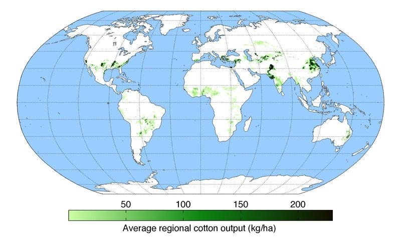 13. Мировое производство хлопка