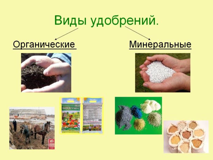 Органические и минеральные удобрения