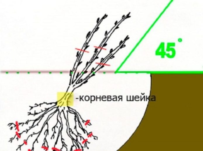 Схема посадки