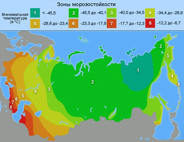 Карта морозостойкости растений в России