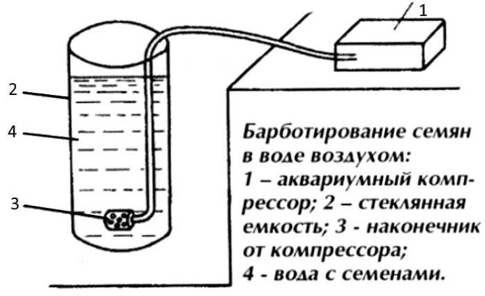 Схема барботирования семян