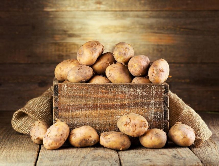 Хранение картофельных клубней 