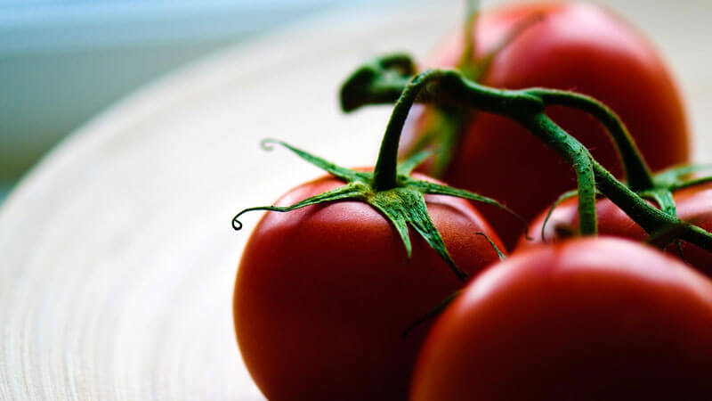 урожайные сорта томатов для теплиц