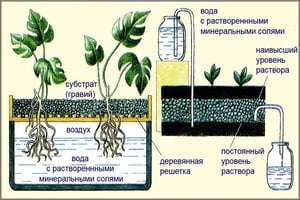 Описание системы гидропоники