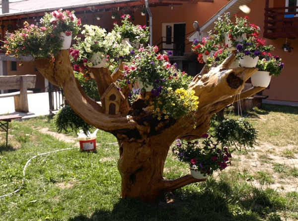 Сухое дерево с цветами