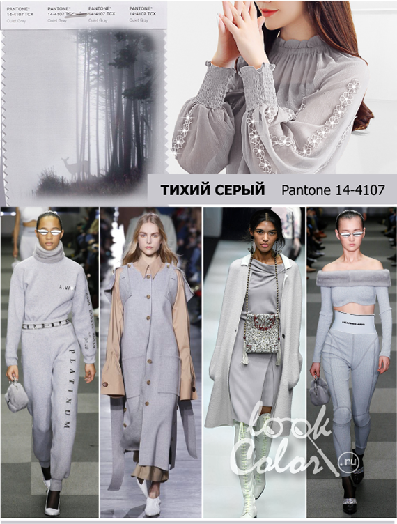 Модный цвет осень-зима 2018-2019 PANTONE 14-4107 Тихий Серый (Quiet Gray)