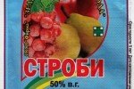 Строби