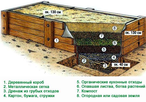 Теплая грядка для огурцов