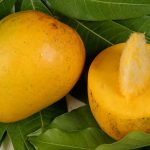 Как посадить косточку манго в домашних условиях
