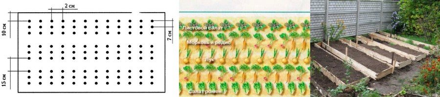 Грядка для лука своими руками