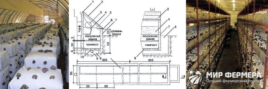 Обустройство помещения для выращивания грибов