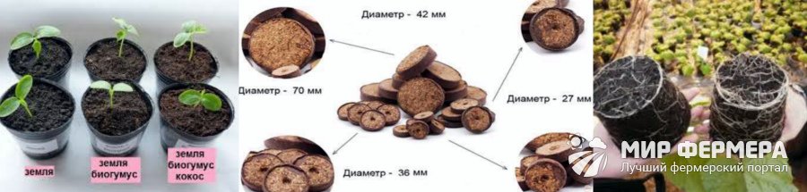 Кокосовый субстрат и таблетки для рассады