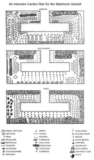 multi vegetable garden plans