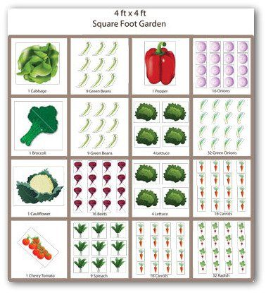 multi vegetable garden plans