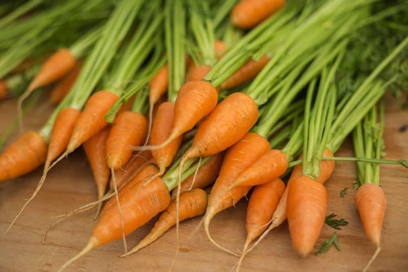 Growing Carrots