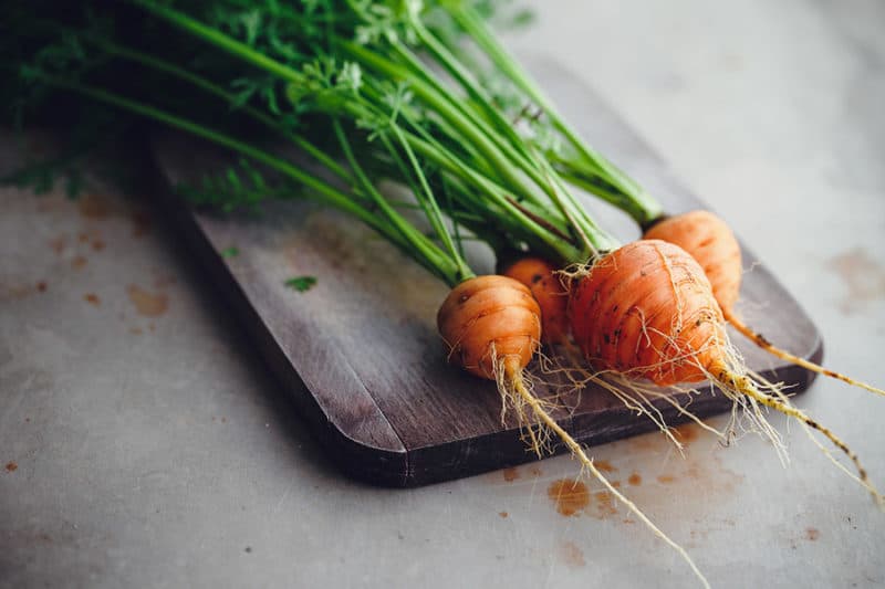 Growing Carrots