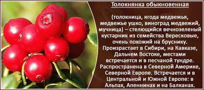 обыкновенная