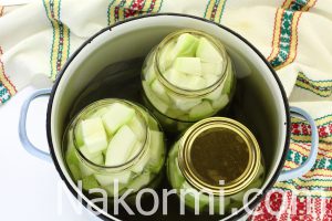 ÐÐ°Ð±Ð°ÑÐºÐ¸, Ð¼Ð°ÑÐ¸Ð½Ð¾Ð²Ð°Ð½Ð½ÑÐµ Ñ Ð³Ð¾ÑÑÐ¸ÑÐµÐ¹ Ð½Ð° Ð·Ð¸Ð¼Ñ