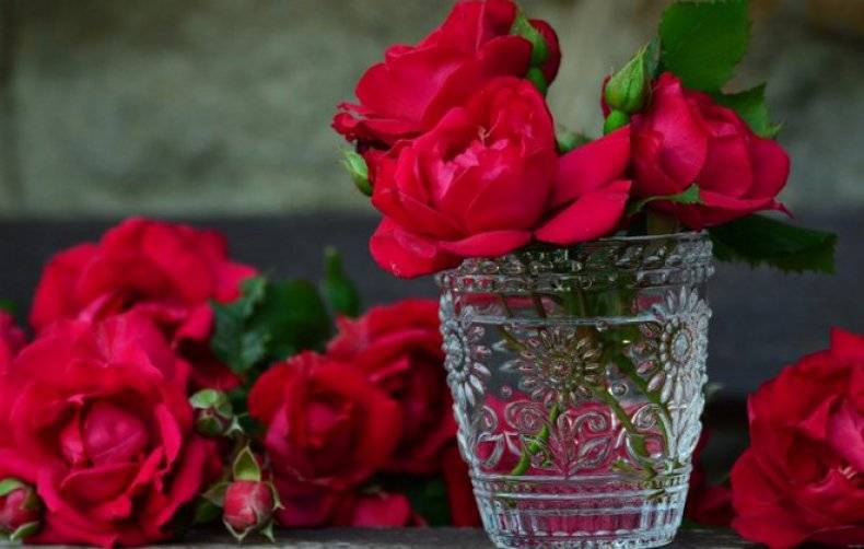 Как дольше сохранить розы в вазе