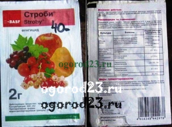 Фунгицид Строби против фитофтороза томатов